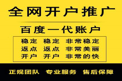 SEM代理操作技巧：成功案例揭秘